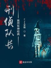 刑警队长第一个案子破了吗