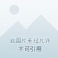 异化都市我被魔女圈养了 薄荷成瘾者