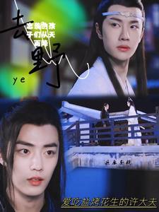 忘羡的孩子们从天而降20