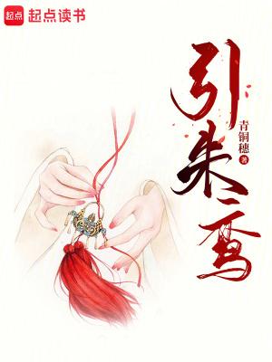 引朱鸾免费全文笔趣阁